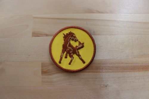 WILD HORSE Patch Animals Horse Detailed Mint Exc This is a detailed wild horse patch. Item measures approx 3 in circle and is in great vintage condition. Vintage