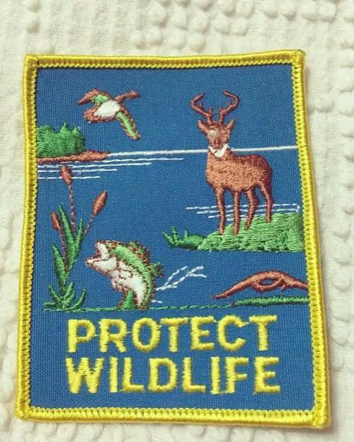 Protect Wildlife Vintage Nature Conservation Patch Camping/Nature Mint ...