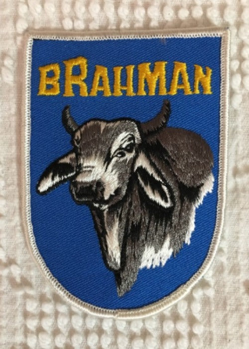 BRAHMAN Cattle Patch Detailed Stitching MINT Animals Agriculture Farming Cow