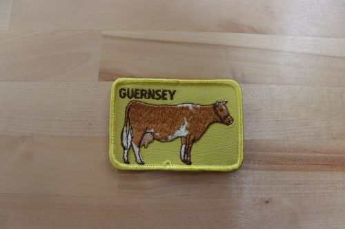 This GUERNSEY cow Cattle patch measures 3 1/2 x 2 1/2 inches and is in great vintage condition.  Perfect for the cow/cattle lover out there. Only on PG RELICS.