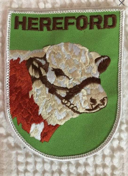 HEREFORD Cattle Patch