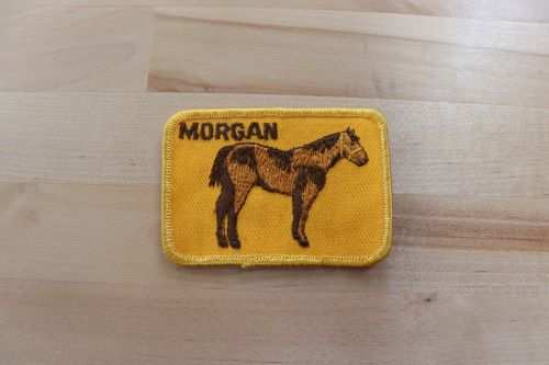 MORGAN Horse Patch